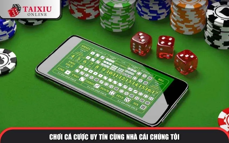 Chơi cá cược uy tín cùng nhà cái chúng tôi